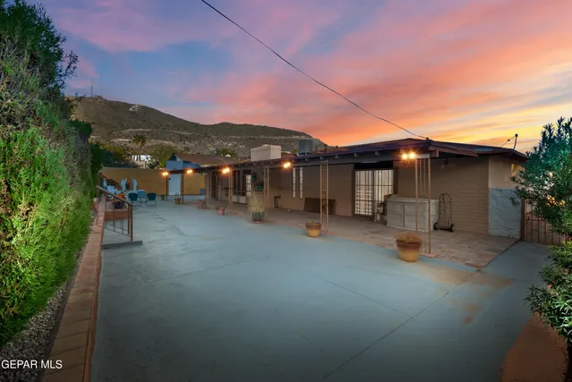 a view of a palm tree next to a yard