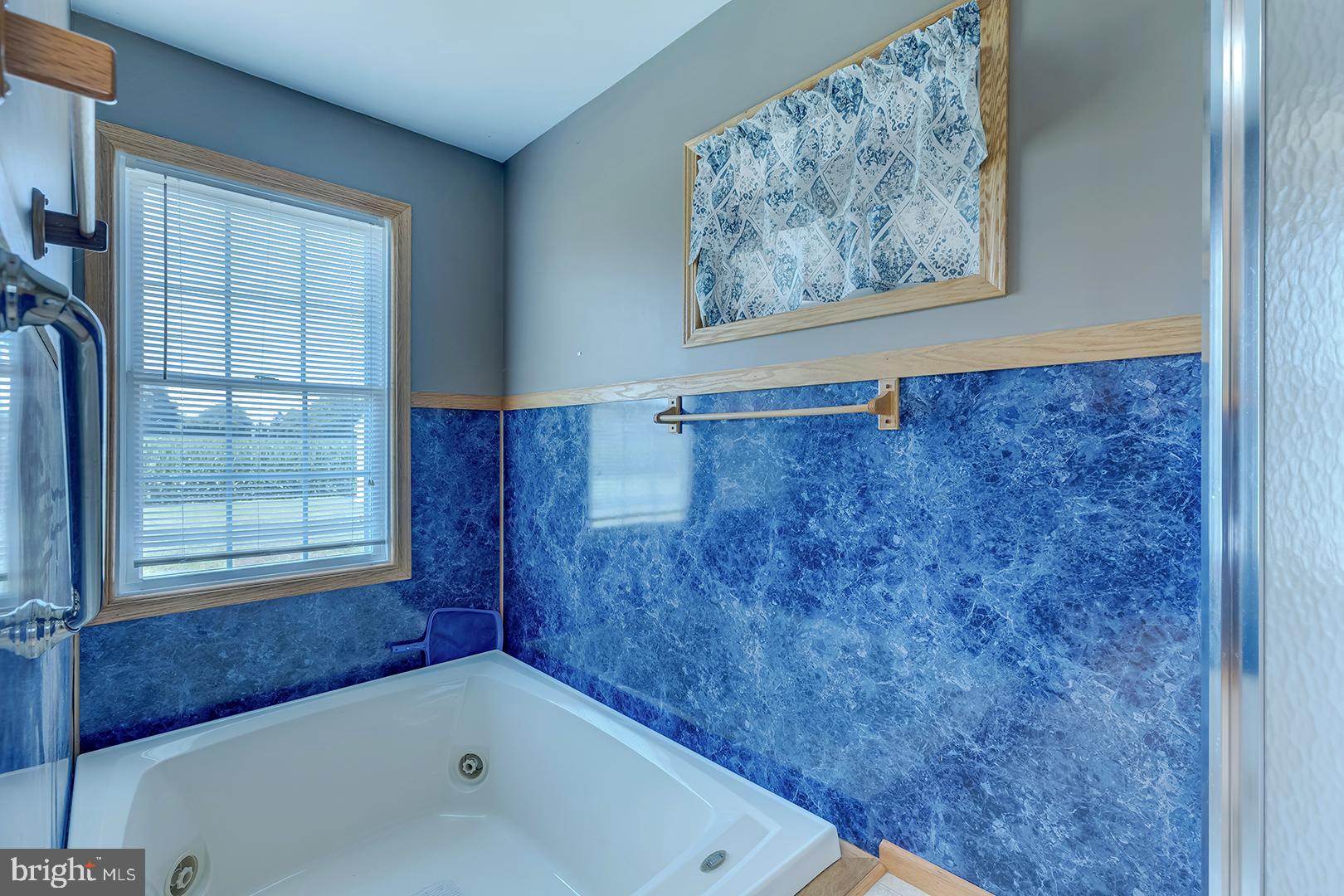 57 Plain Dealing Road Magnolia, DE 19962 - Photo 35 of 64 a bathroom with a bathtub and a shower