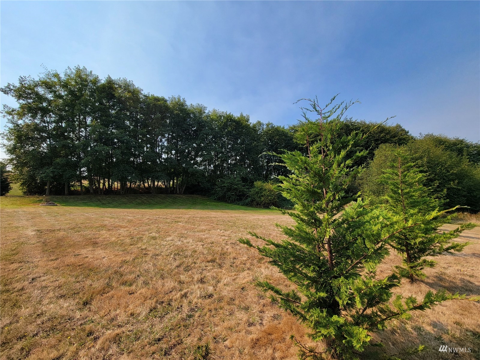 131 Les Saints Road Sequim, WA 98382 - Photo 29 of 32 a view of outdoor space with mountain view