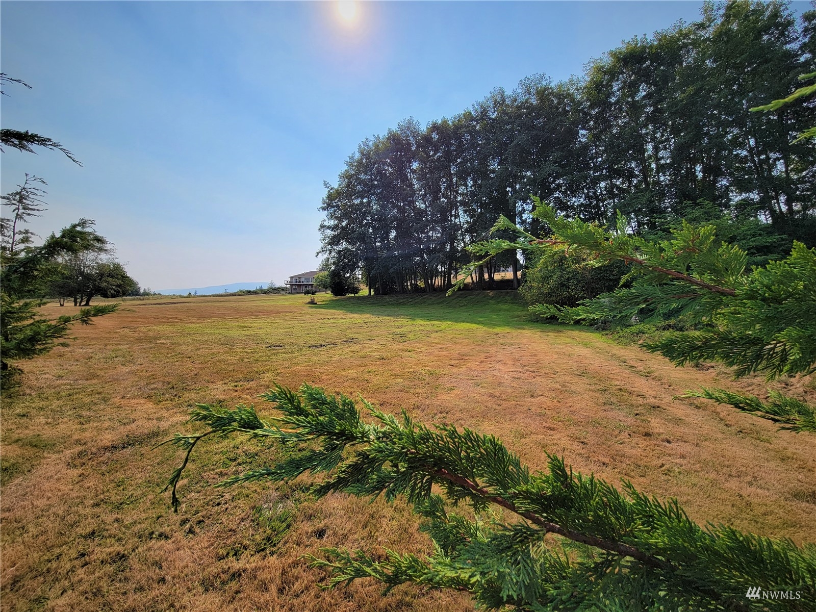 131 Les Saints Road Sequim, WA 98382 - Photo 30 of 32 a view of a field with an trees