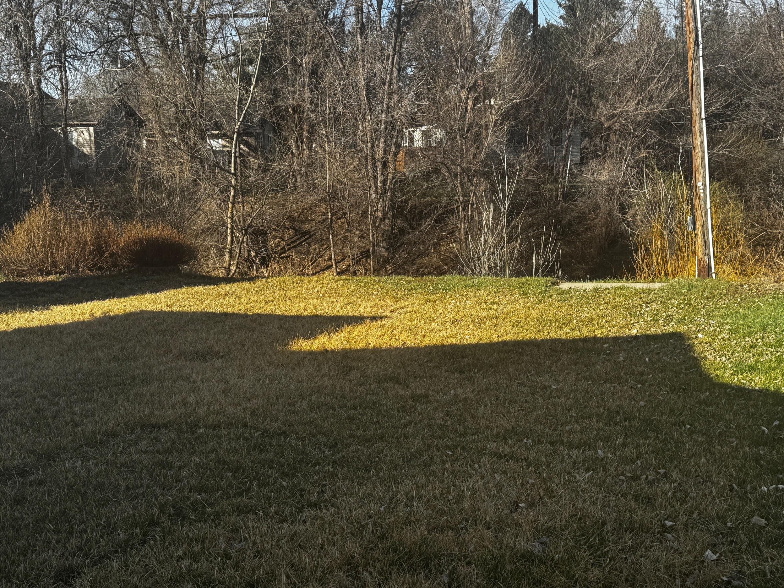 648 Carlin Street Sheridan, WY 82801 - Photo 10 of 13 Back yard