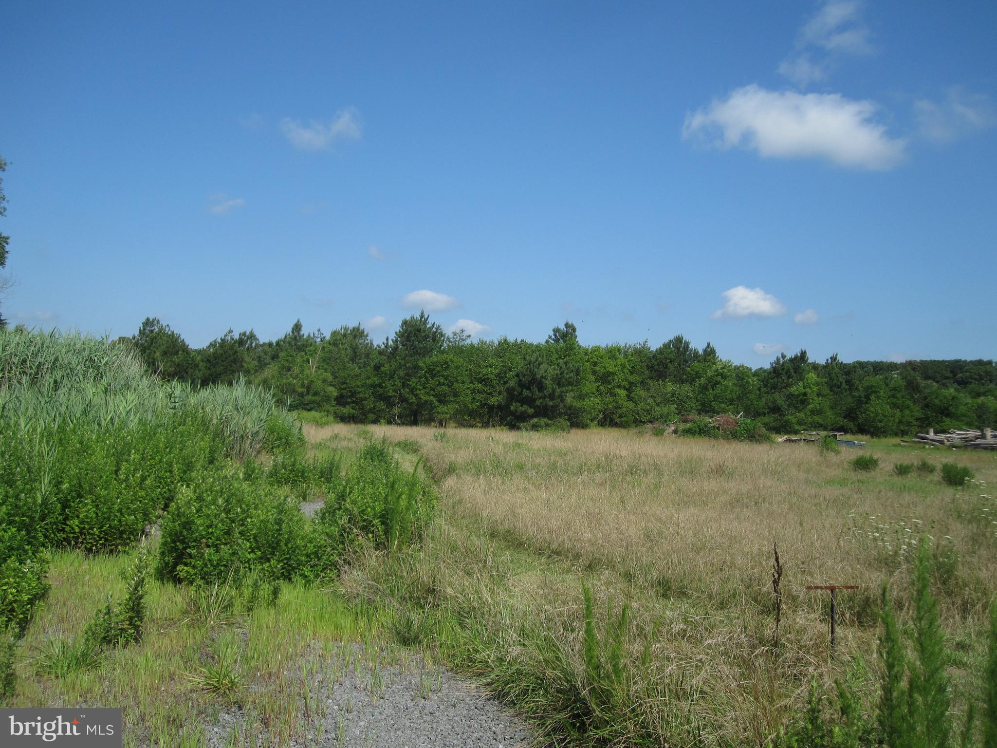 Lot 2 Isaacs Road Ellendale, DE 19941 - Photo 1 of 1