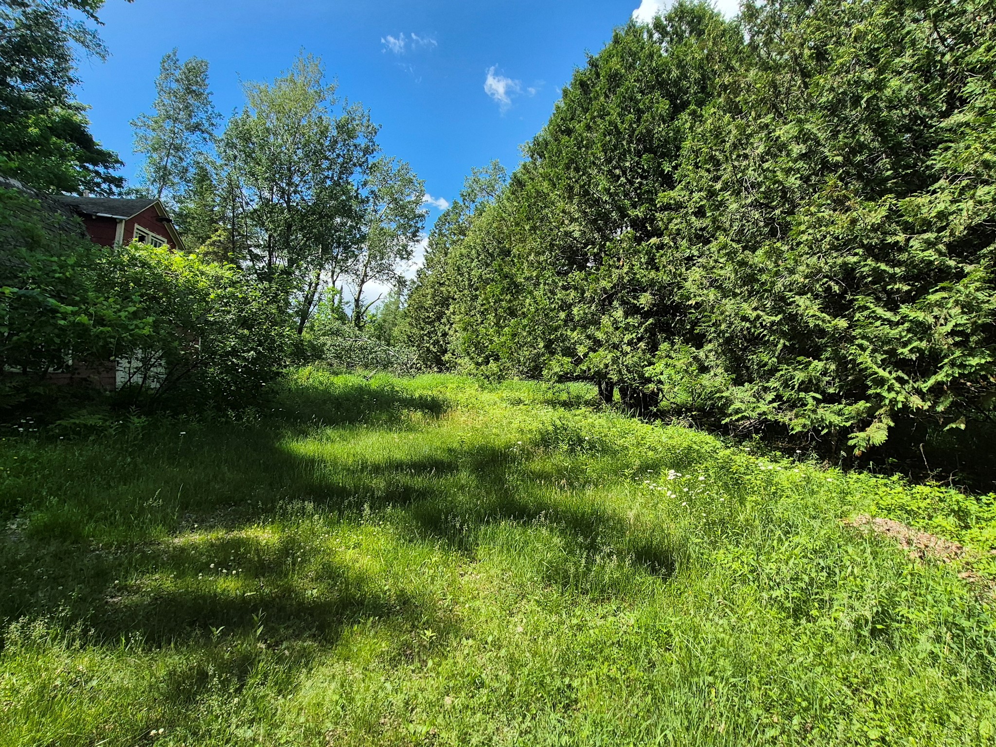 9341 North Nyberg Road Hayward, WI 54843 - Photo 28 of 32