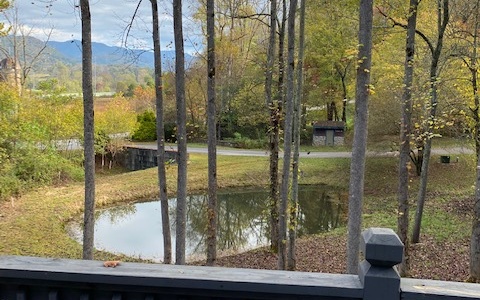 35 Rambling Waters Marble, NC 28905 - Photo 3 of 4 Additional View