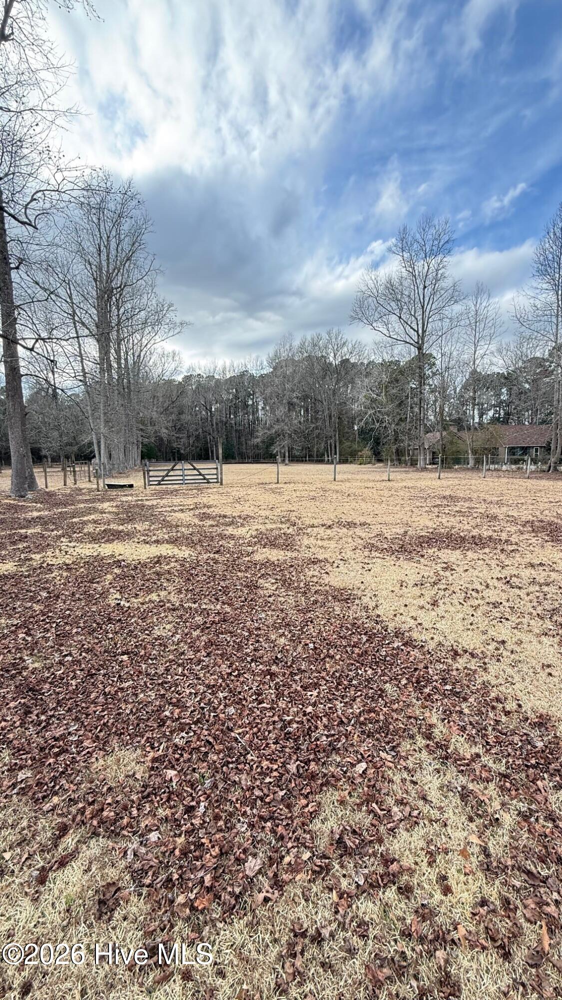 1068 Harrell's Loop Road Jacksonville, NC 28540 - Photo 26 of 28 field 1