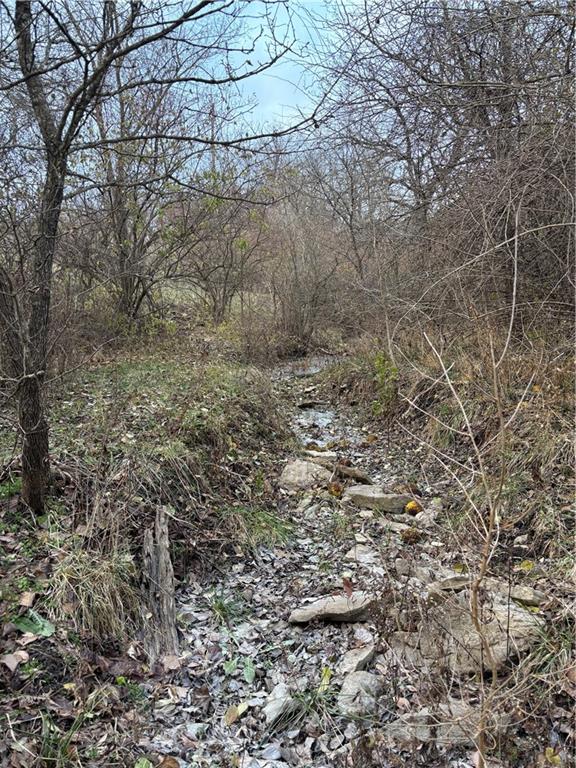 Bolling Road Lawson, MO 64062 - Photo 14 of 20