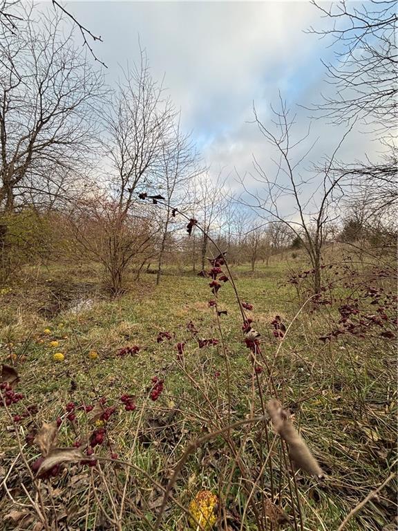 Bolling Road Lawson, MO 64062 - Photo 16 of 20