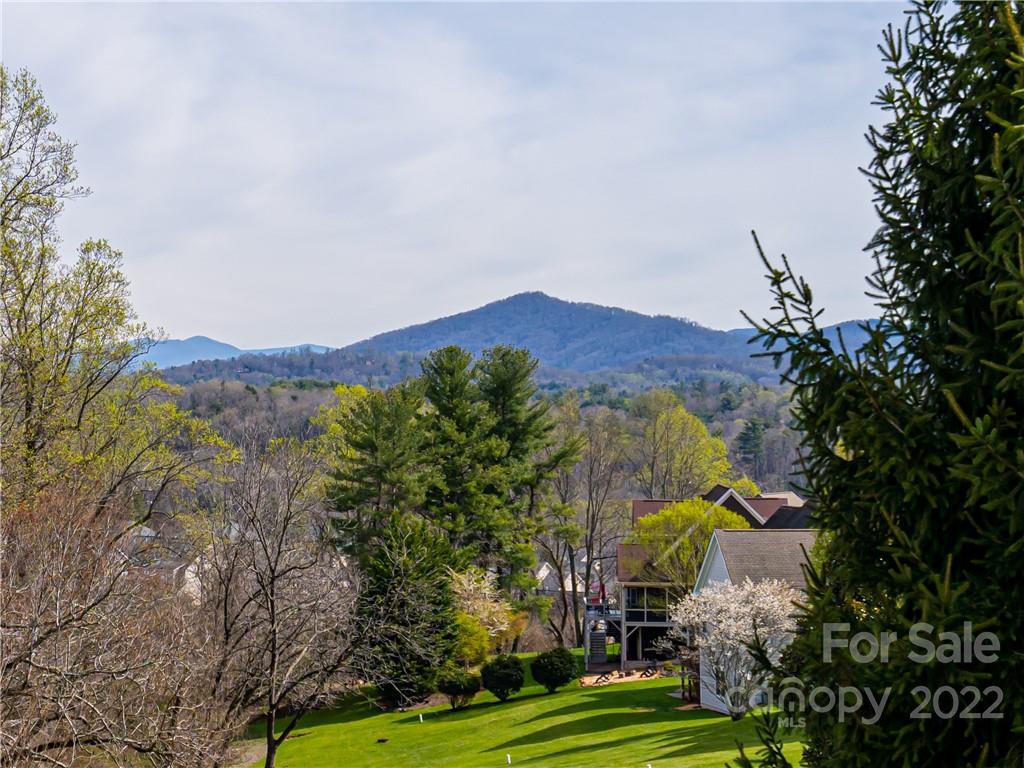 49 Stone House Road Arden, NC 28704 - Photo 4 of 48 Gallery Image 4