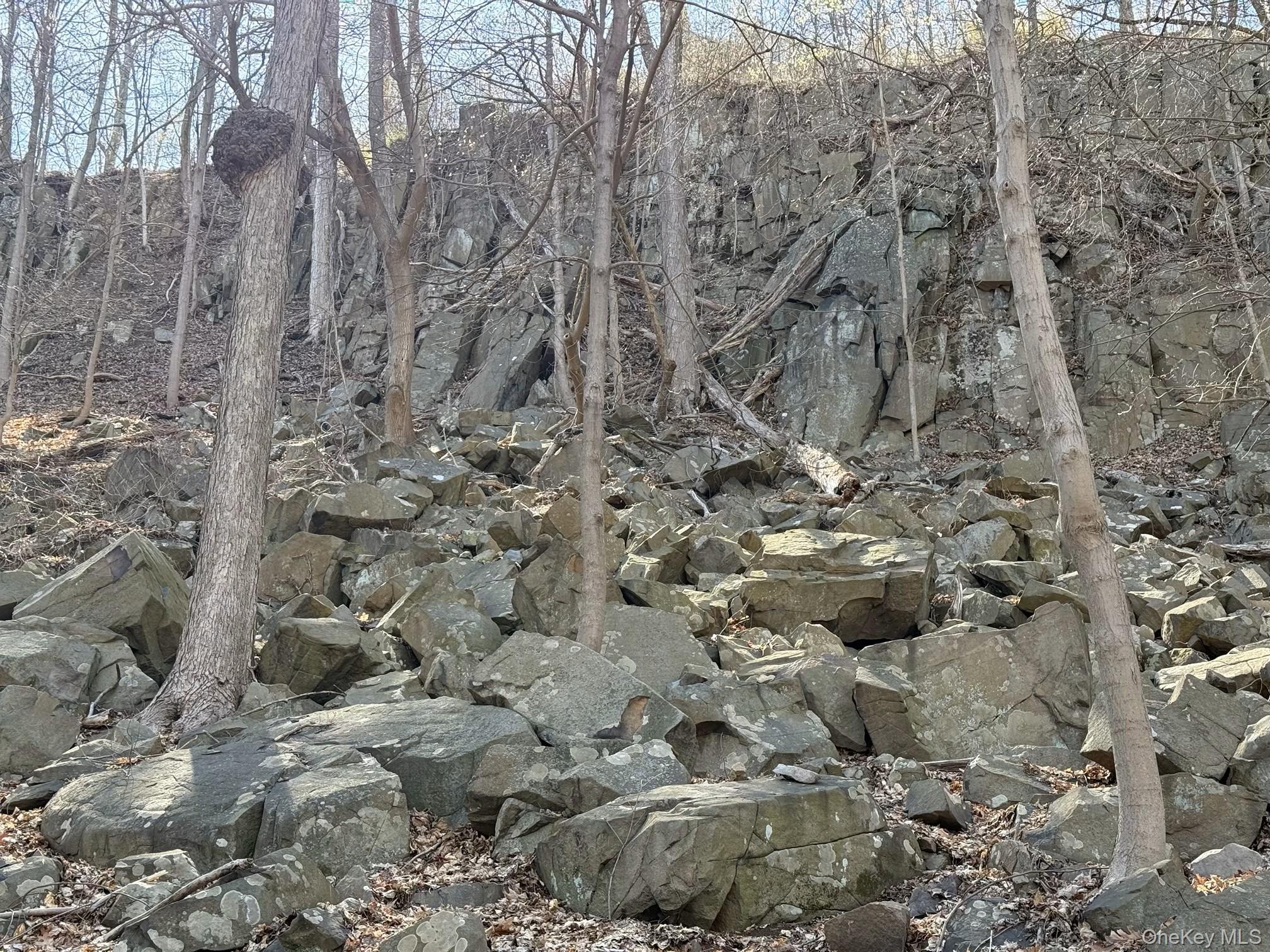 938 Rte 9W Nyack, NY 10960 - Photo 11 of 13 View of nature