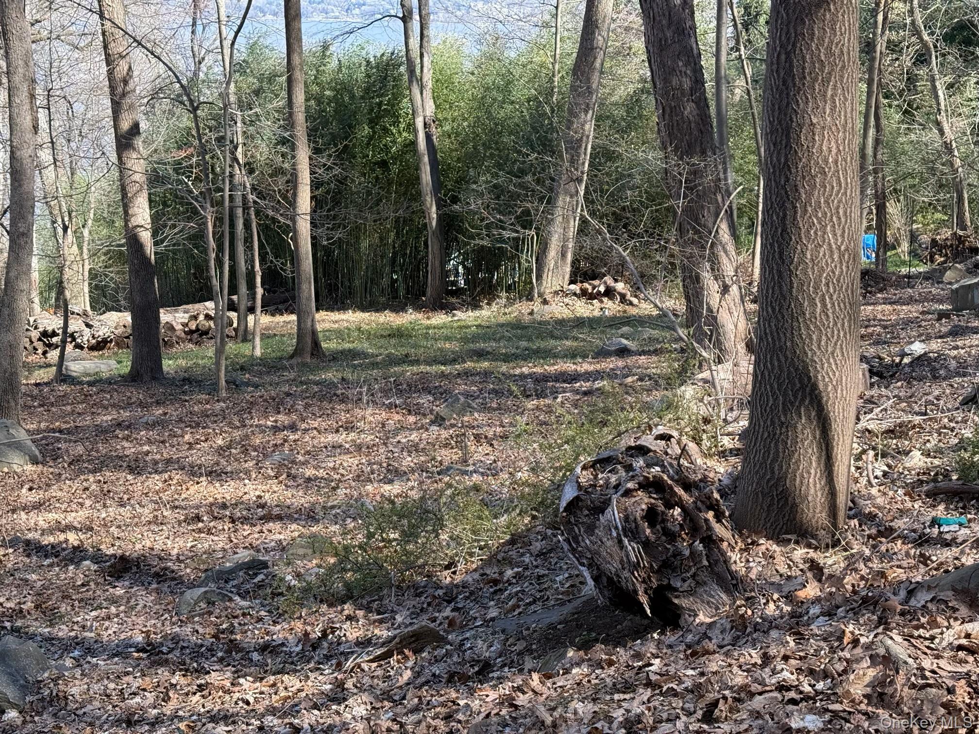 938 Rte 9W Nyack, NY 10960 - Photo 12 of 13 View of nature