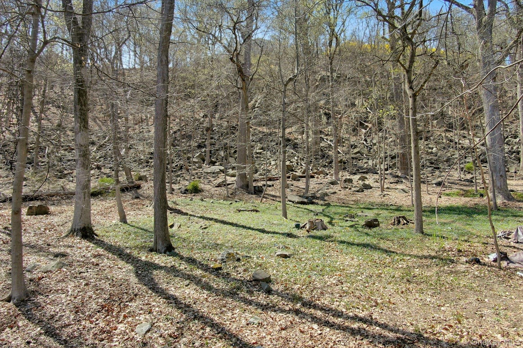 938 Rte 9W Nyack, NY 10960 - Photo 2 of 13 View of nature