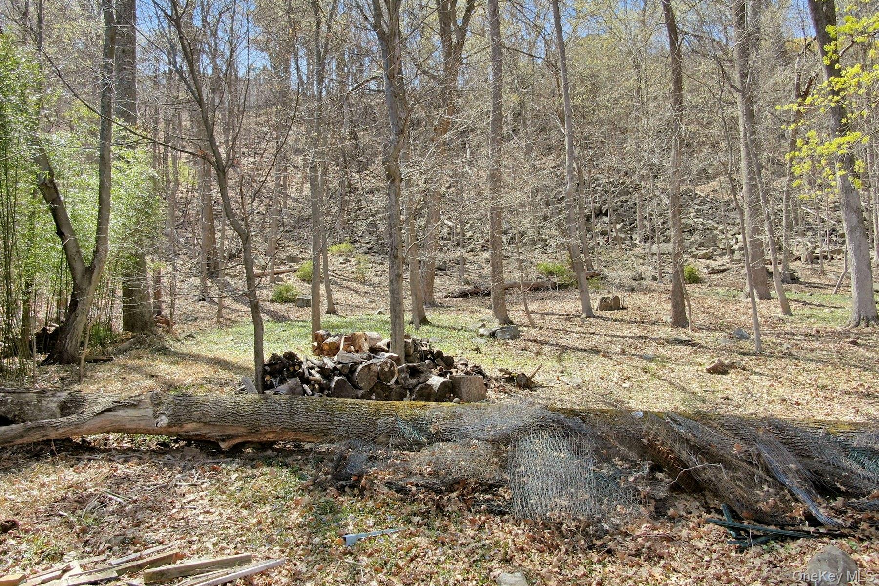 938 Rte 9W Nyack, NY 10960 - Photo 3 of 13 View of landscape