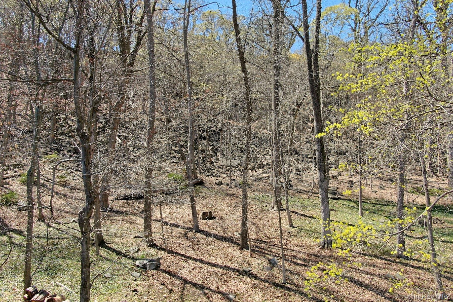 938 Rte 9W Nyack, NY 10960 - Photo 4 of 13 View of local wilderness