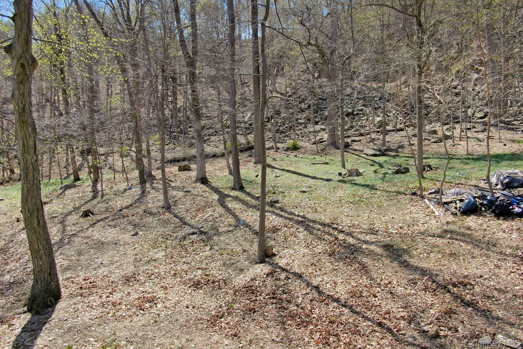 938 Rte 9W Nyack, NY 10960 - Photo 6 of 13 View of landscape