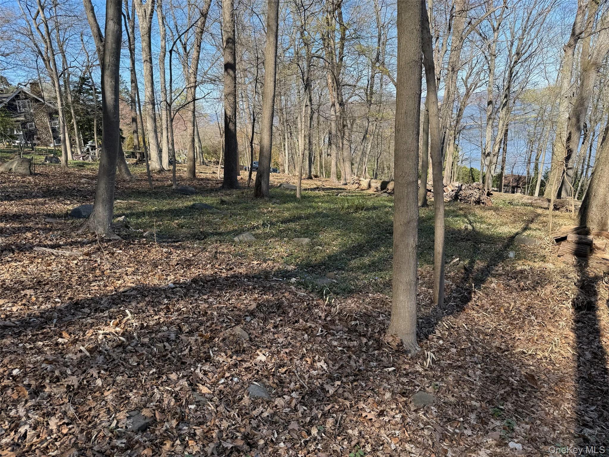 938 Rte 9W Nyack, NY 10960 - Photo 8 of 13 View of yard