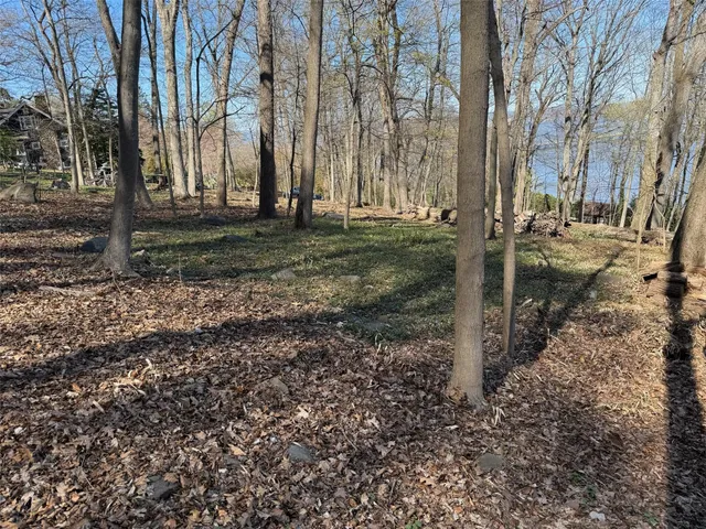 a view of a backyard with large trees