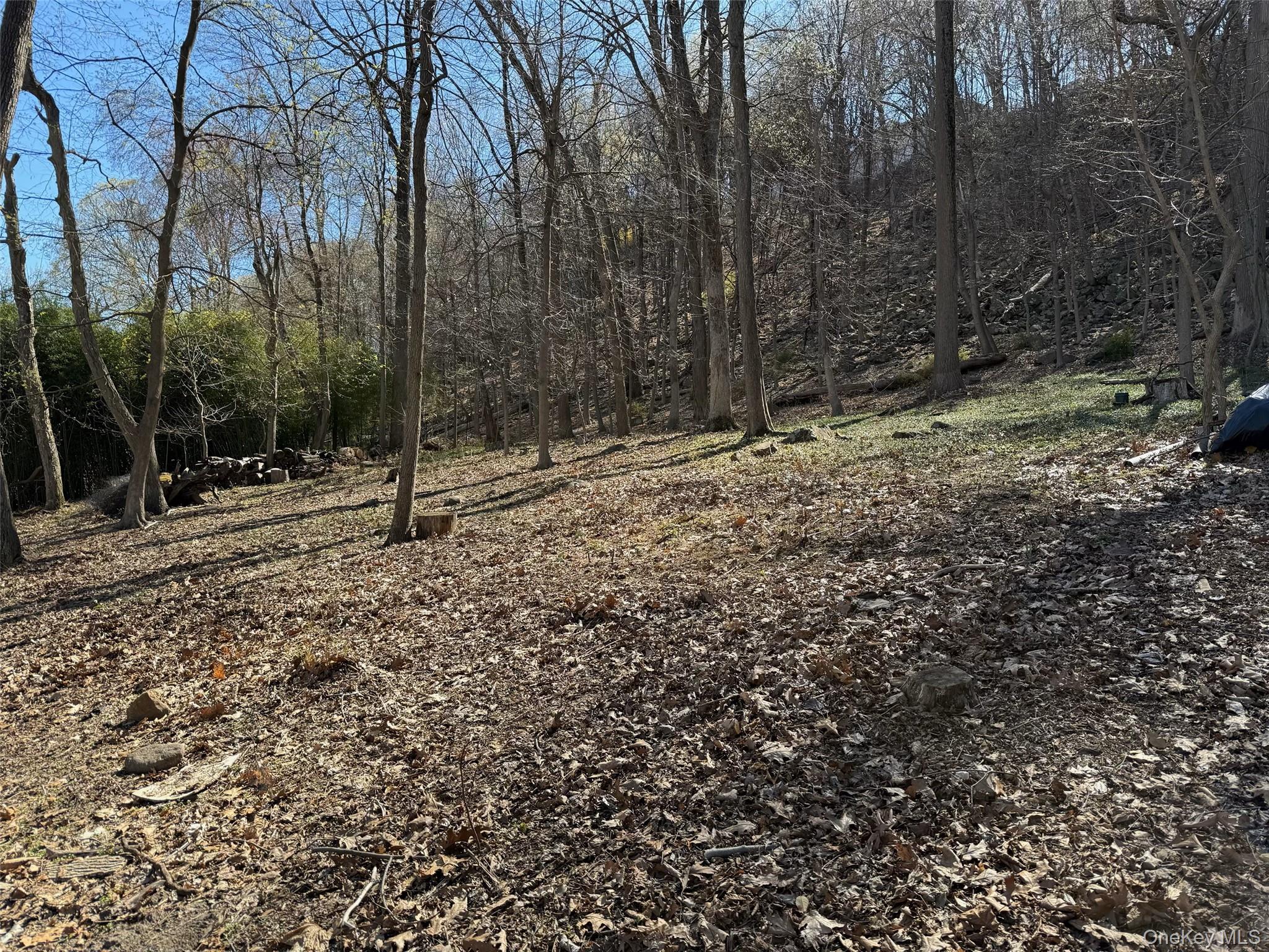 938 Rte 9W Nyack, NY 10960 - Photo 9 of 13 View of landscape