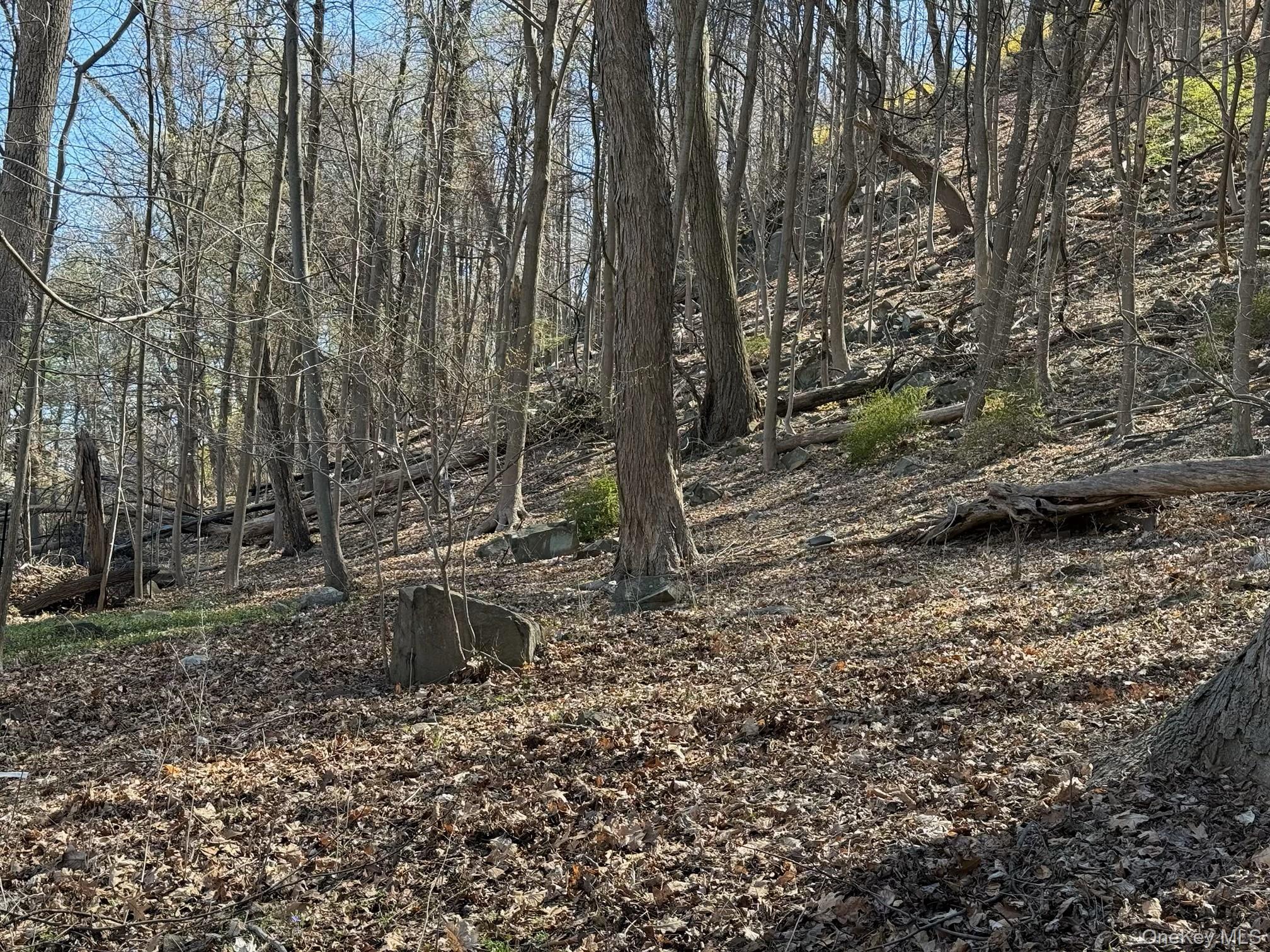 938 Rte 9W Nyack, NY 10960 - Photo 10 of 13 View of landscape