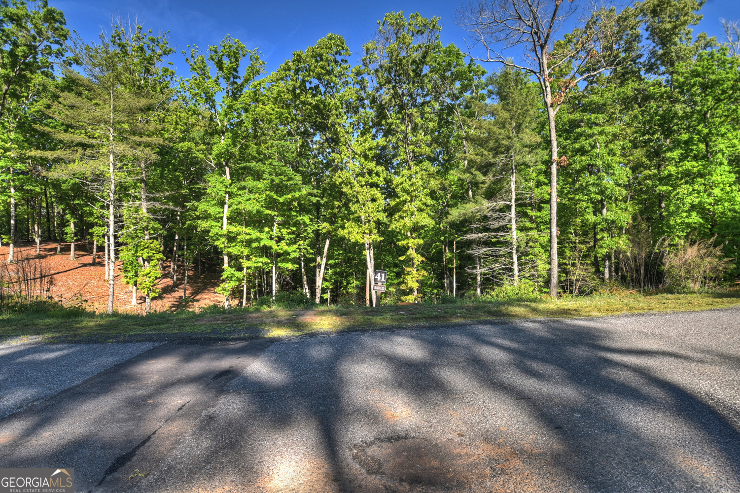 Lot 41 Ridge Drive Morganton, GA 30560 - Photo 26 of 34