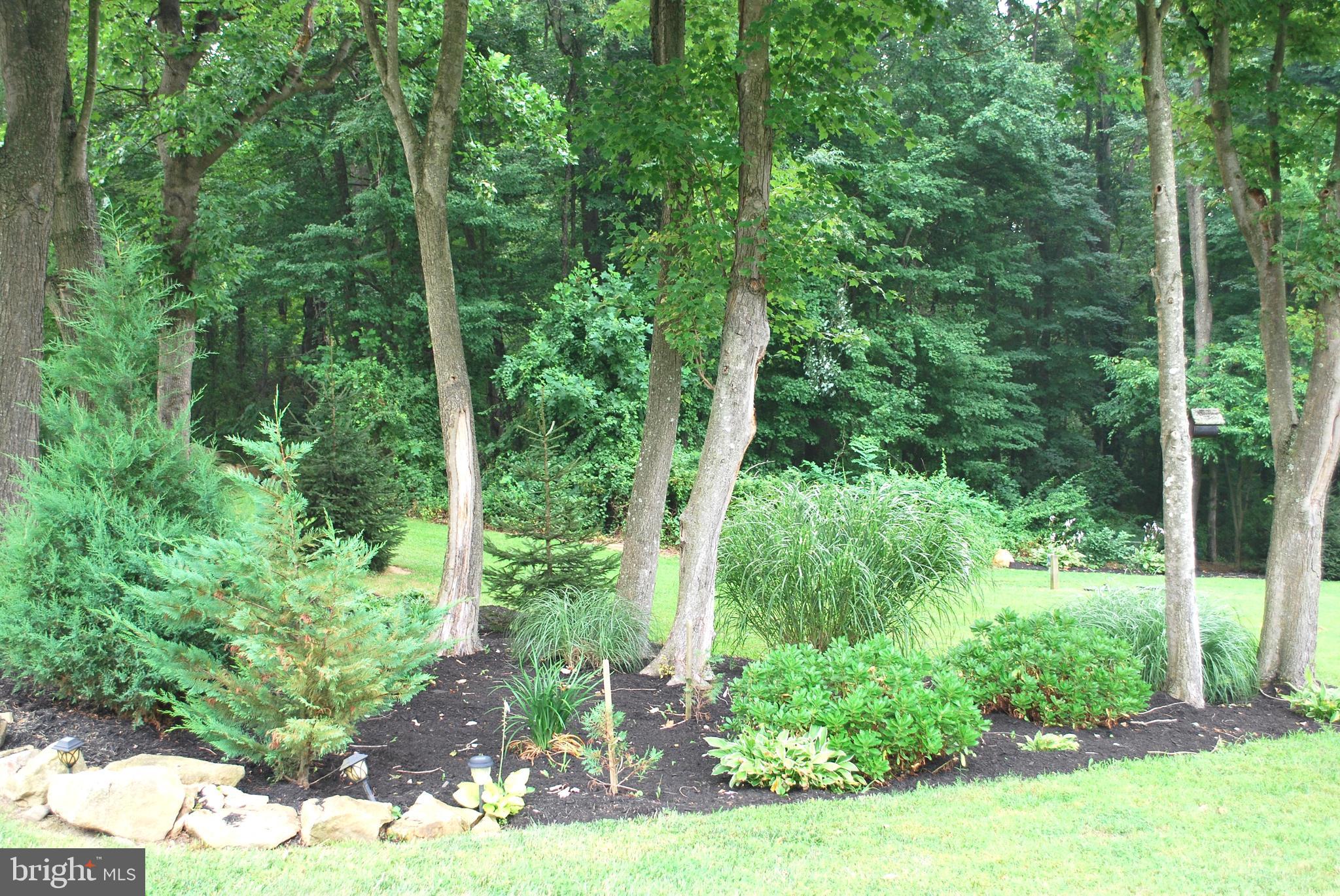 2316 Theodore Road North East, MD 21901 - Photo 24 of 64