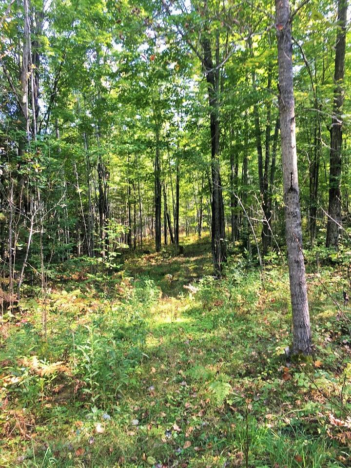 Moose Trail Fairview, MI 48621 - Photo 20 of 30 Gallery Image 20