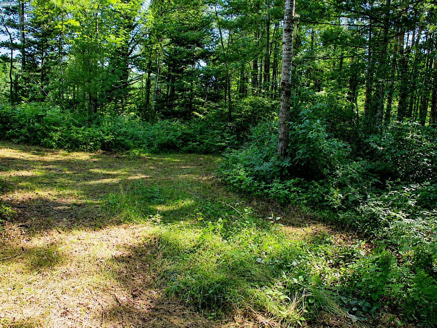 Lot 1 State Road Couderay, WI 54828 - Photo 4 of 5