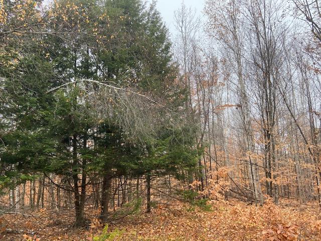 33 Patterson Bridge Road Madison, ME 04950 - Photo 13 of 13 IMG_2311