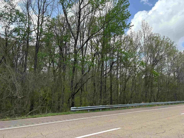 $79,000 | 0 North Watkins Road, Millington, TN 38053