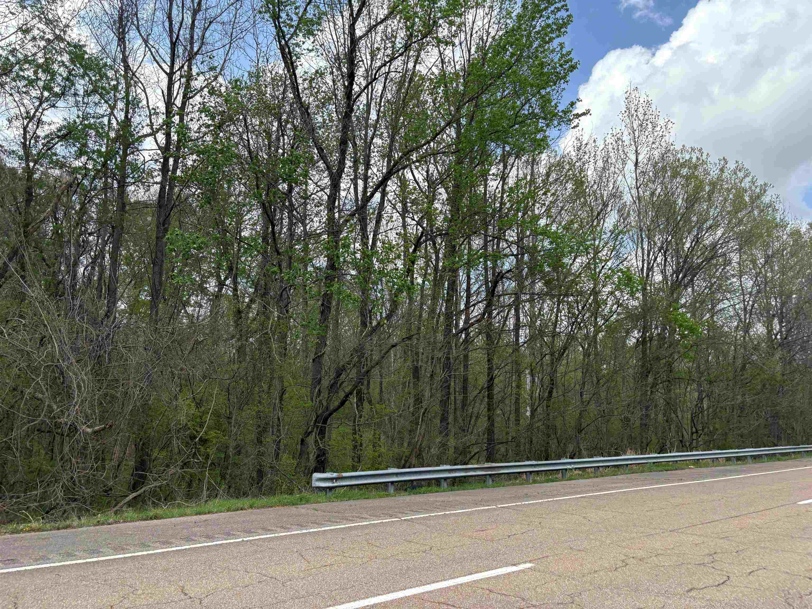 View of road with a wooded view