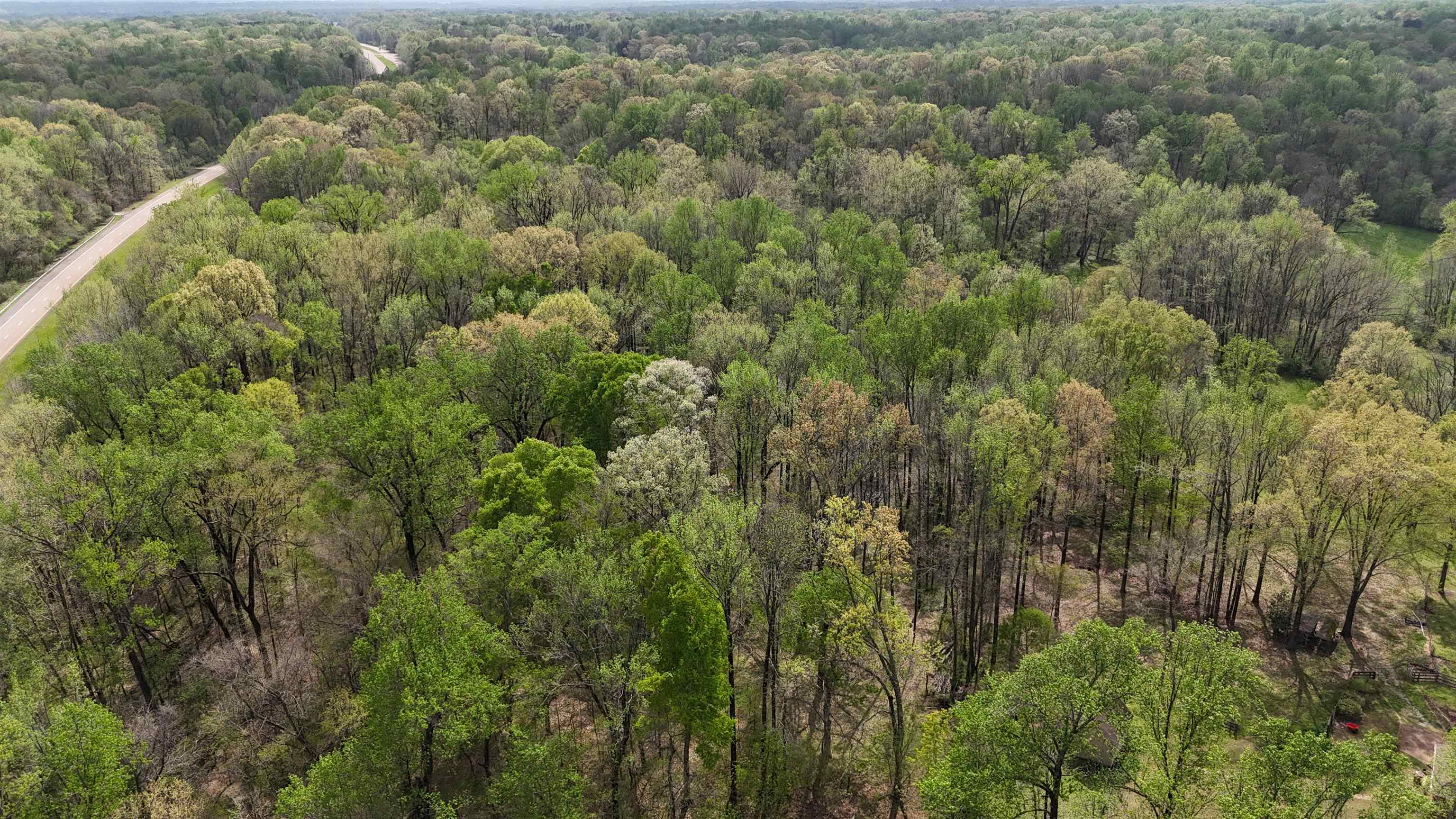 0 North Watkins Road Millington, TN 38053 - Photo 14 of 15 Birds eye view of property with a wooded view