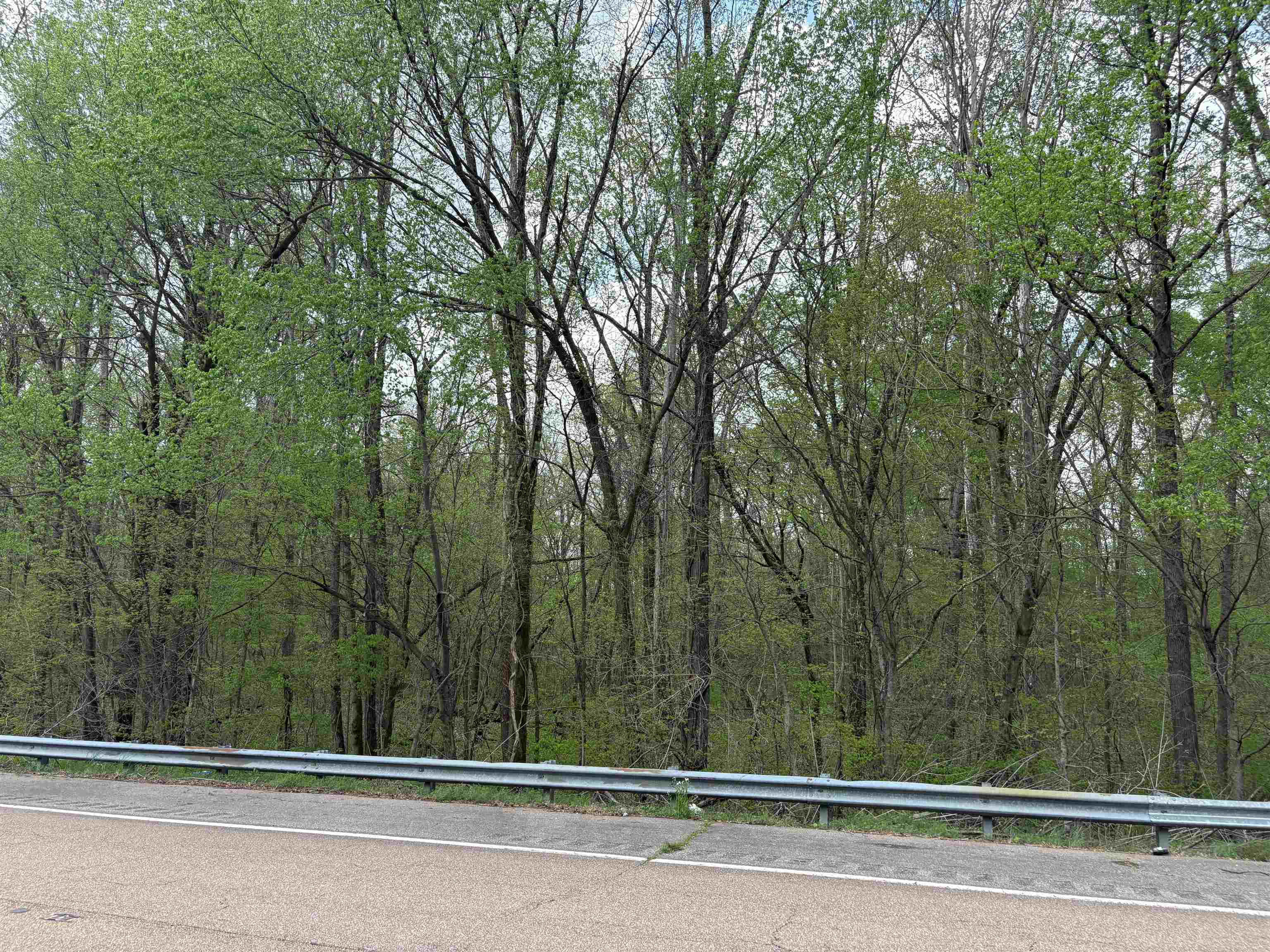 0 North Watkins Road Millington, TN 38053 - Photo 2 of 15 View of road