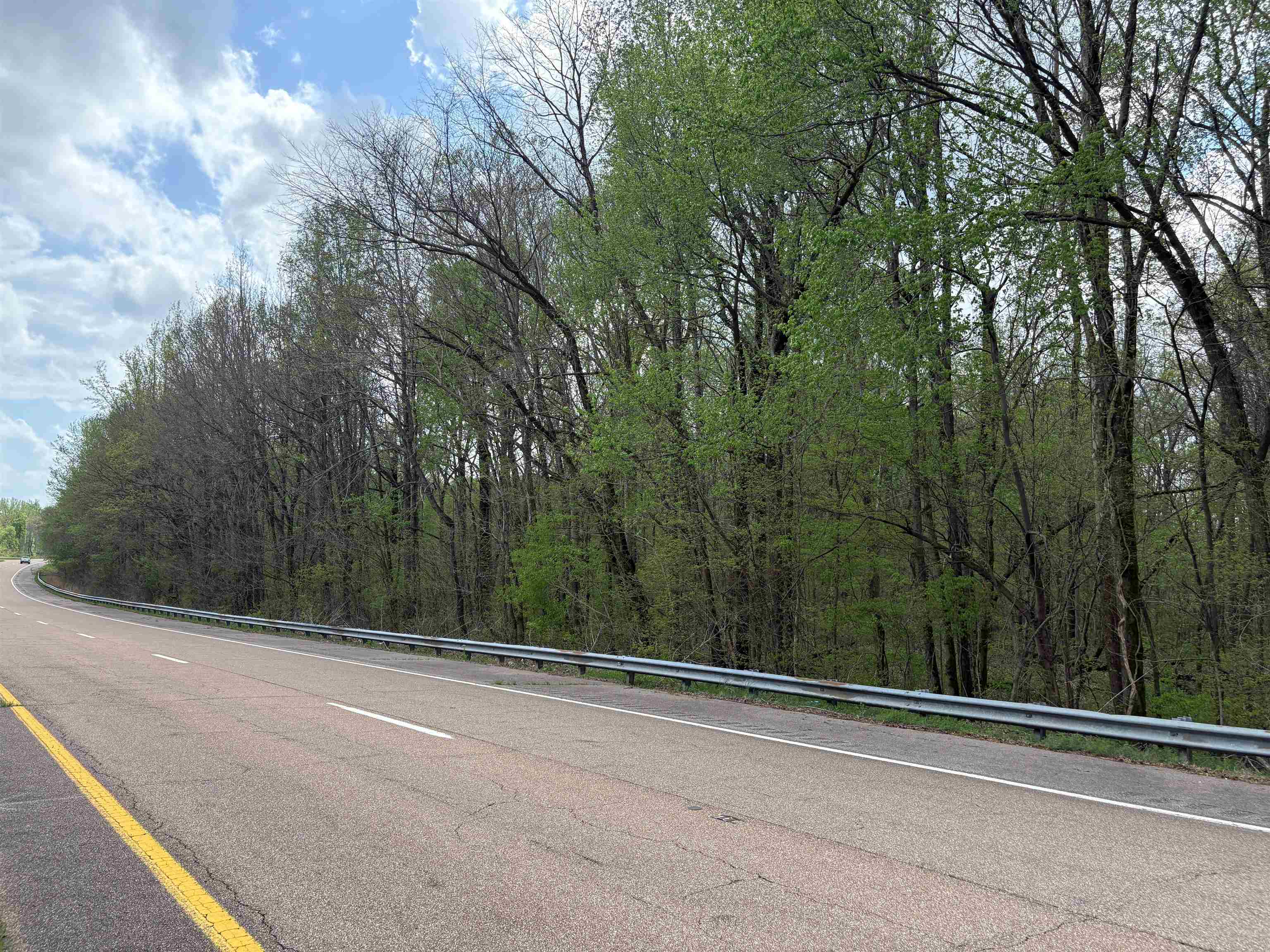 0 North Watkins Road Millington, TN 38053 - Photo 3 of 15 View of street with a forest view