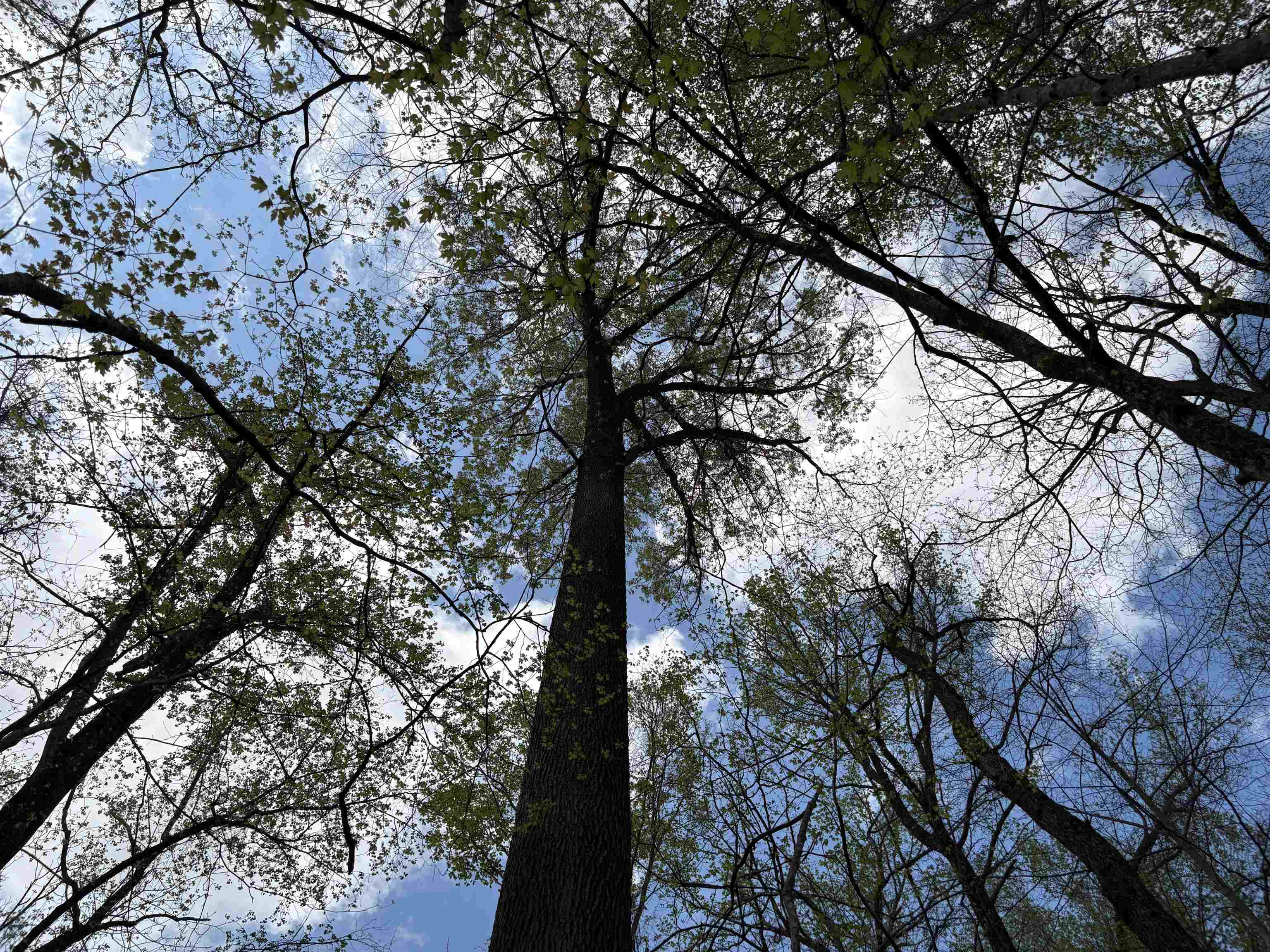 0 North Watkins Road Millington, TN 38053 - Photo 7 of 15 Exterior space
