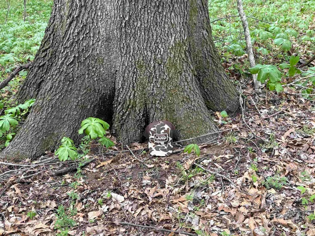 $79,000 | 0 North Watkins Road, Millington, TN 38053