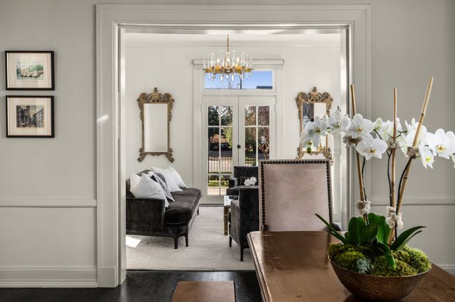 a living room with a couch and a potted plant