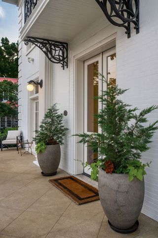 a living room with furniture a window and a potted plant