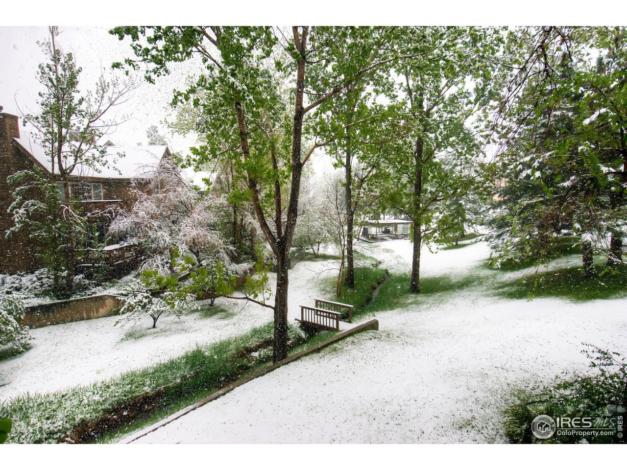 4150 Riverside Avenue Boulder, CO 80304 - Photo 22 of 40 a view of a park with large trees