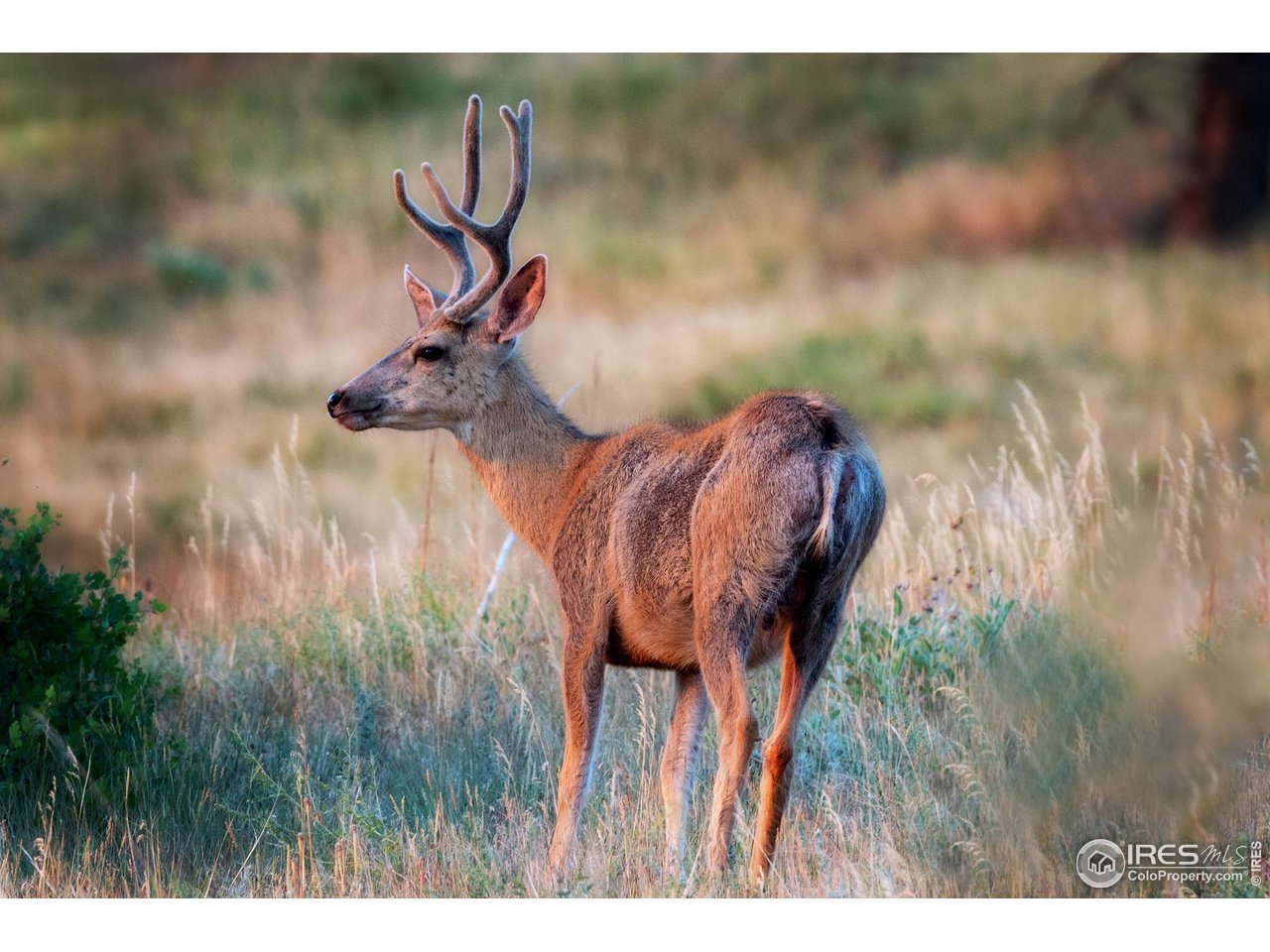 4150 Riverside Avenue Boulder, CO 80304 - Photo 30 of 40 a view of entryway