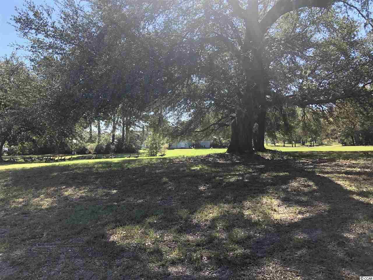 Lot # South Bay Street Georgetown, SC 29440 - Photo 1 of 16 Gallery Image 1