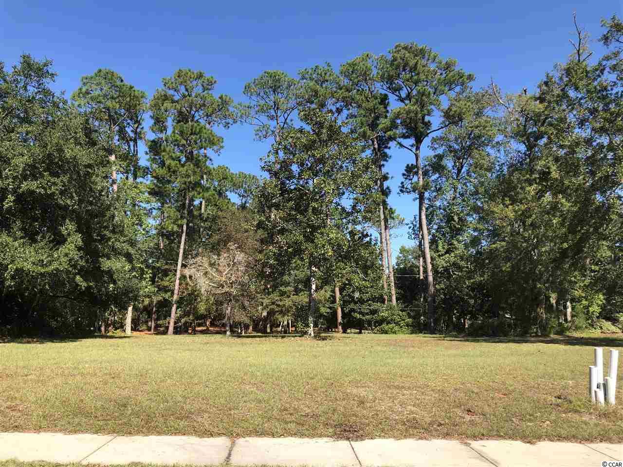 Lot # South Bay Street Georgetown, SC 29440 - Photo 16 of 16 Gallery Image 16
