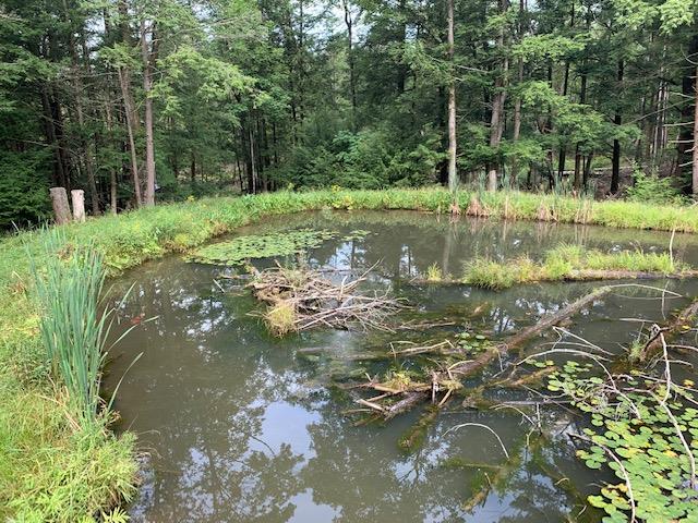 5772 Tidioute Enterprise Road Grand Valley, PA 16420 - Photo 18 of 23