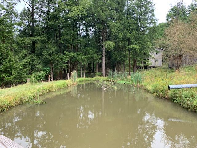 5772 Tidioute Enterprise Road Grand Valley, PA 16420 - Photo 21 of 23
