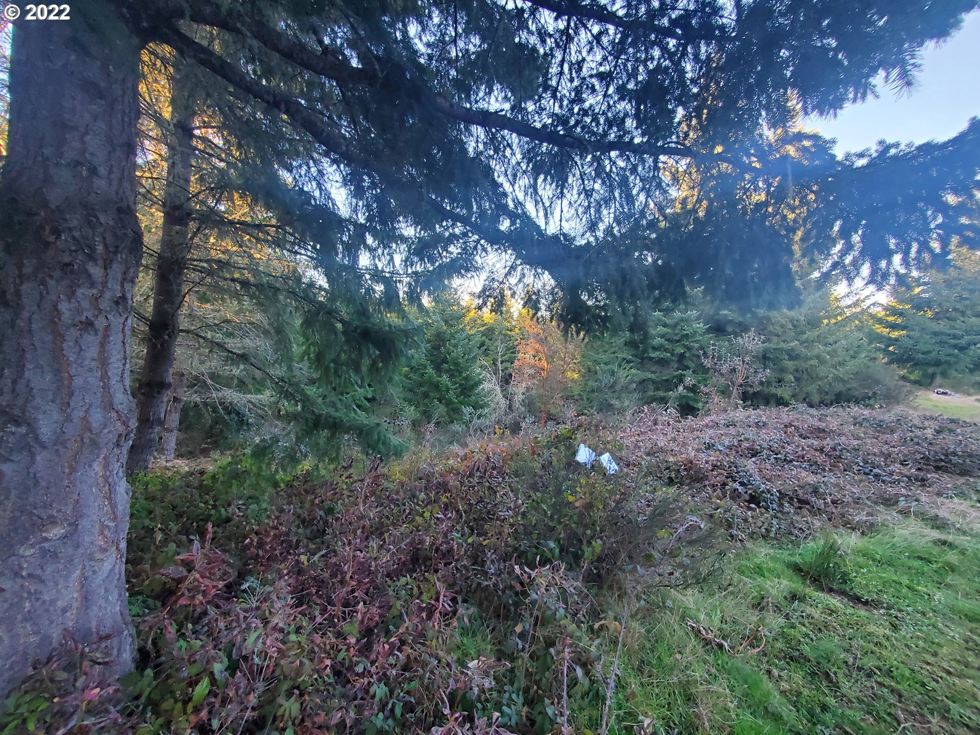 31752 Camas Swale Road Creswell, OR 97426 - Photo 12 of 17 Gallery Image 12