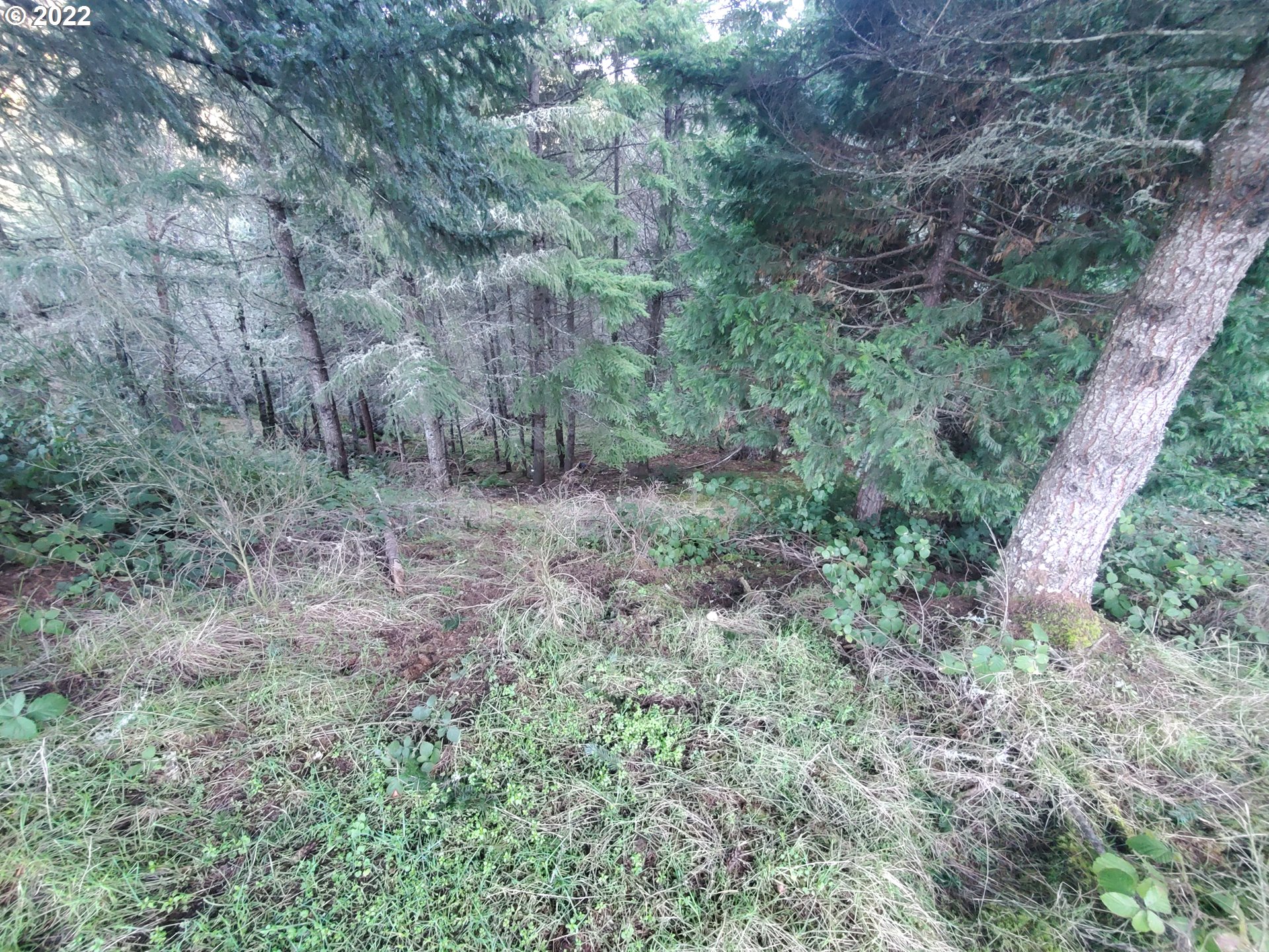 31752 Camas Swale Road Creswell, OR 97426 - Photo 15 of 17 Gallery Image 15