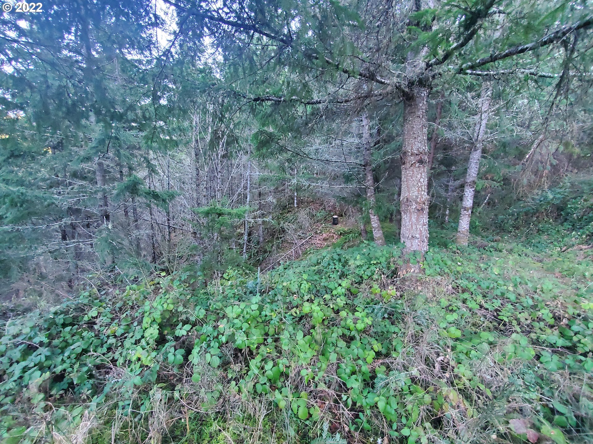 31752 Camas Swale Road Creswell, OR 97426 - Photo 16 of 17 Gallery Image 16