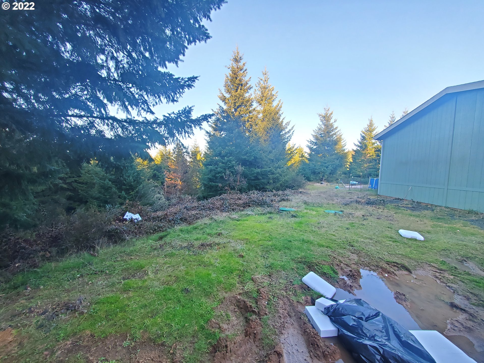 31752 Camas Swale Road Creswell, OR 97426 - Photo 8 of 17 Gallery Image 8