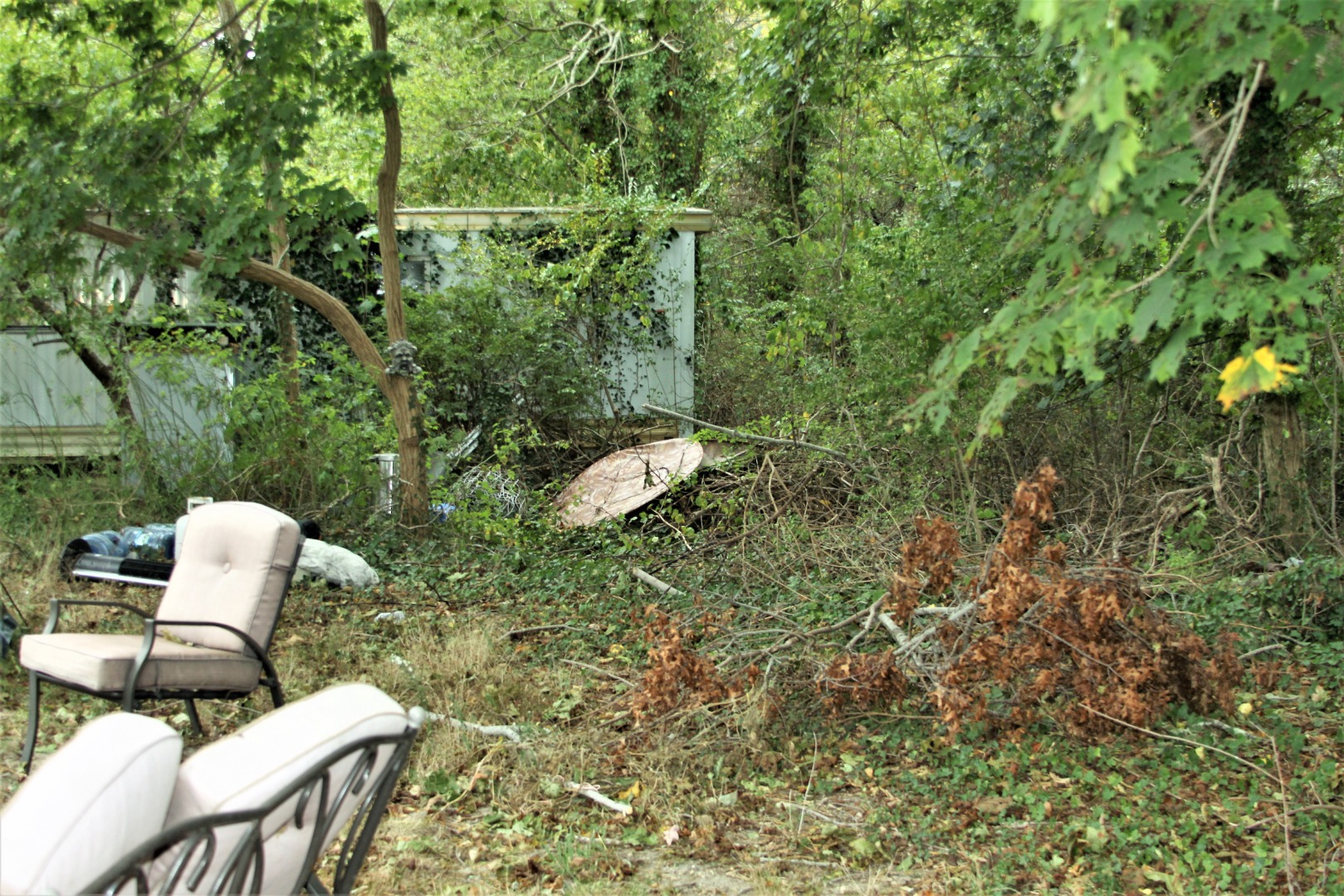 19 Andrews Road Vineyard Haven, MA 02568 - Photo 7 of 12 Wooded area in Back