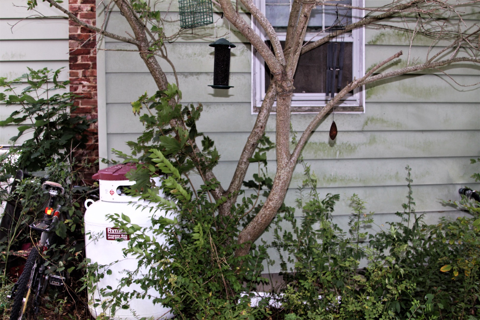19 Andrews Road Vineyard Haven, MA 02568 - Photo 9 of 12 Right side of House