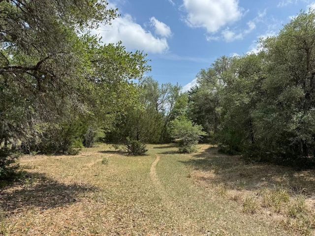 a view of a yard with a tree