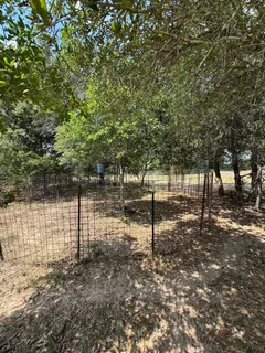 a view of a park with large trees